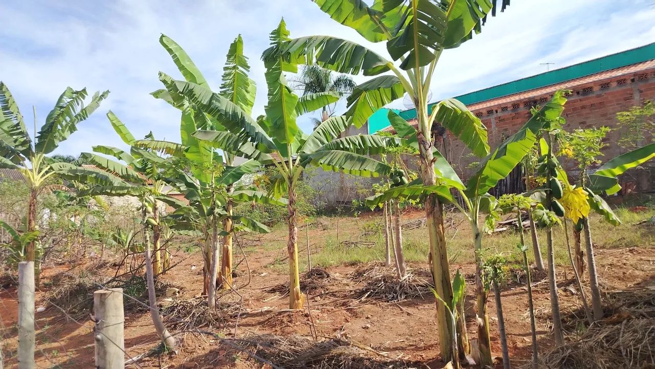Lote em Aparecida de Goiânia  - Foto 4