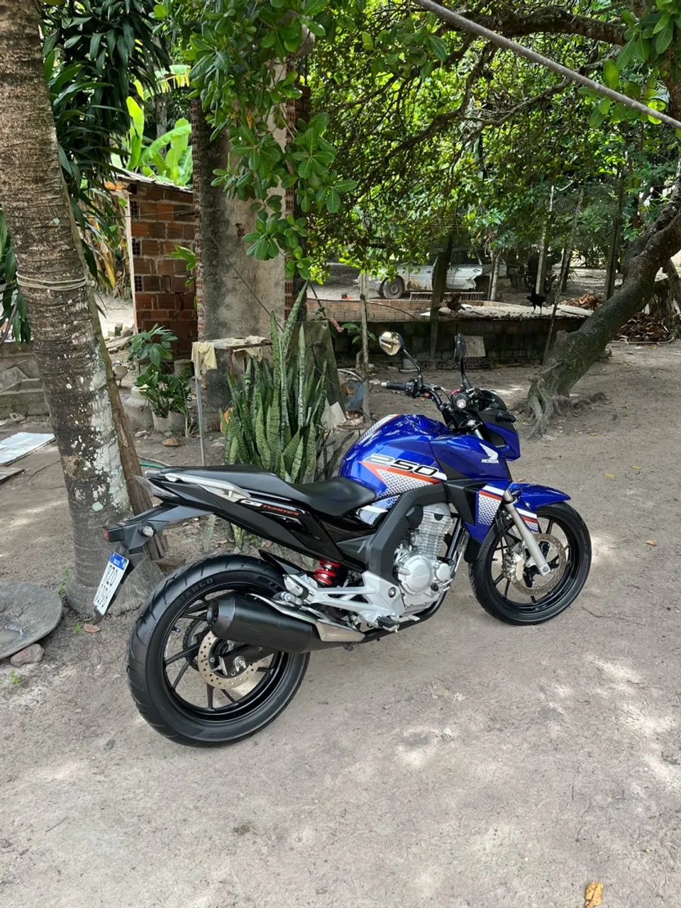 Vender - Foto 4