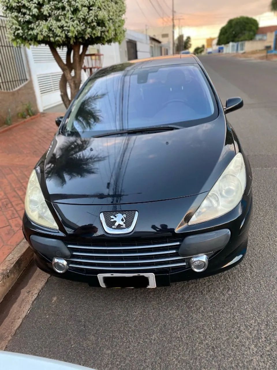 Peugeot 307 307 Feline/Griff/Premi. 2.0 Flex 5p Aut. 2007