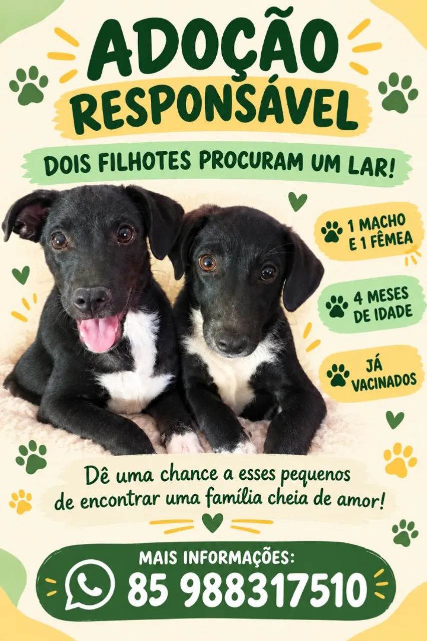 Cachorros