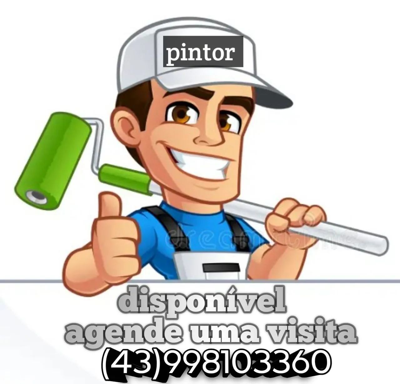 Pintor profissional 
