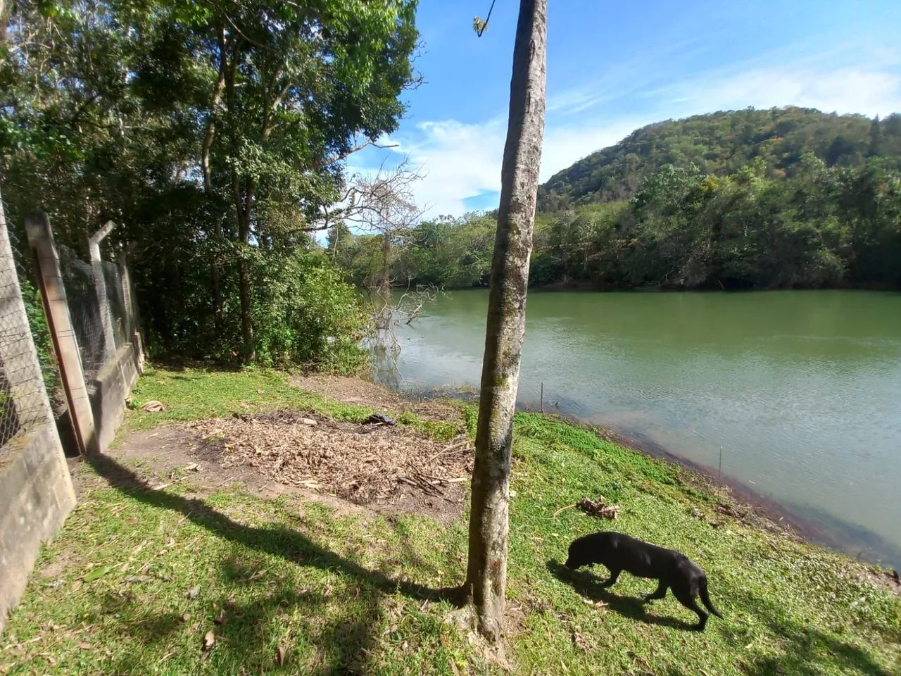 Alugo chácara  - Foto 2