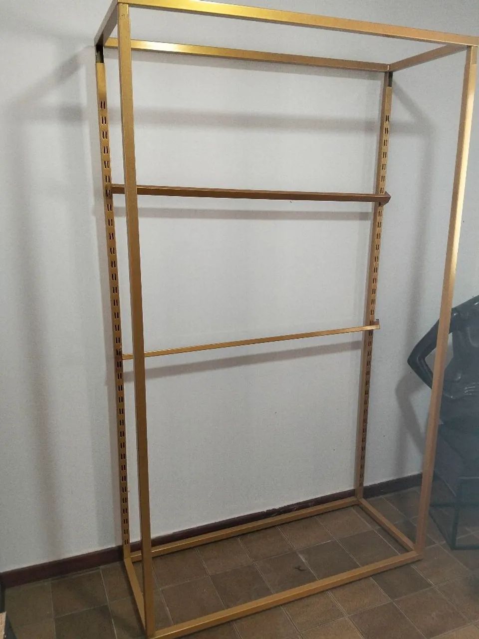 Arara dourada - Foto 3