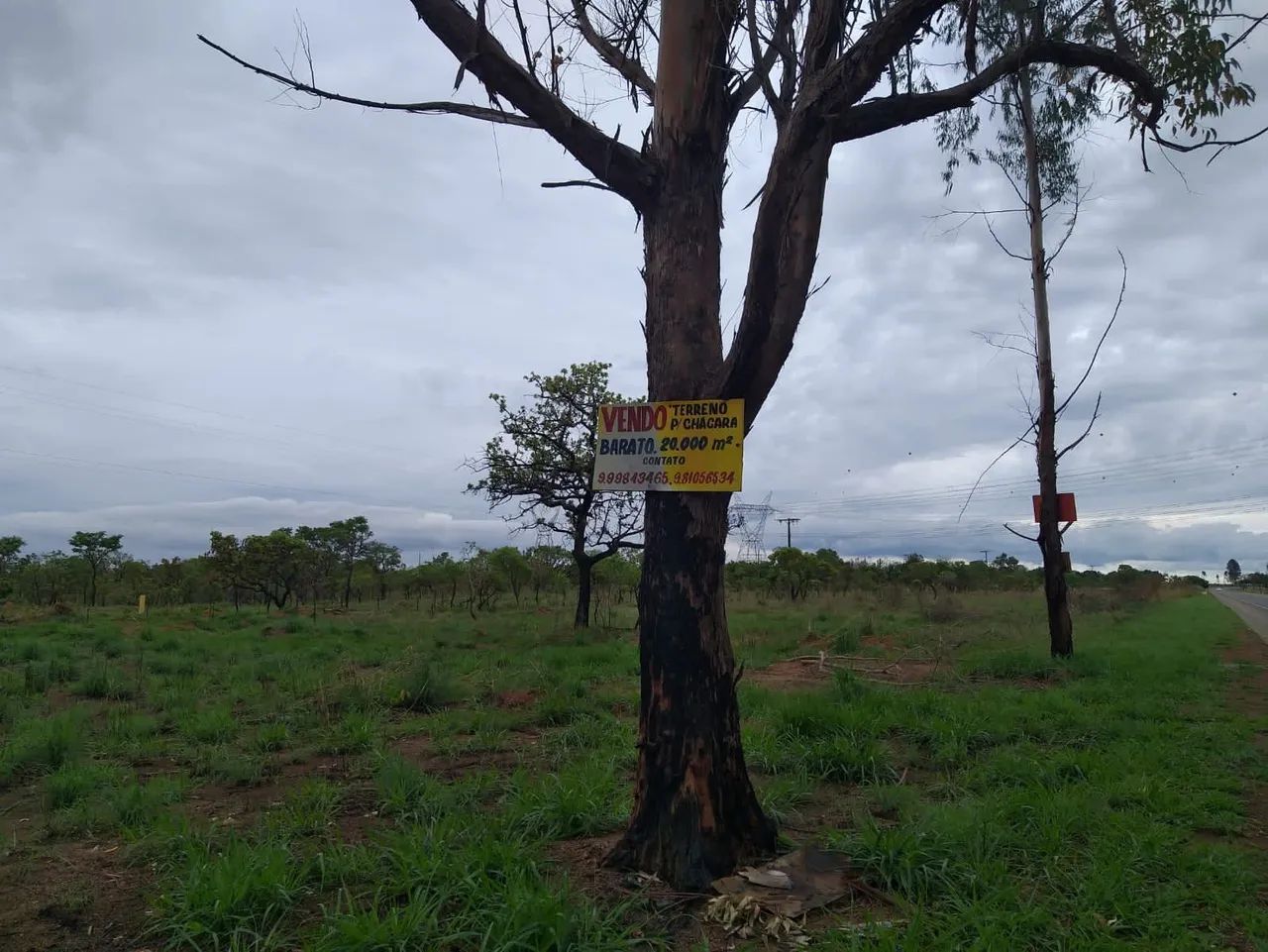 Alugo ou vendo terreno  de 20.000m