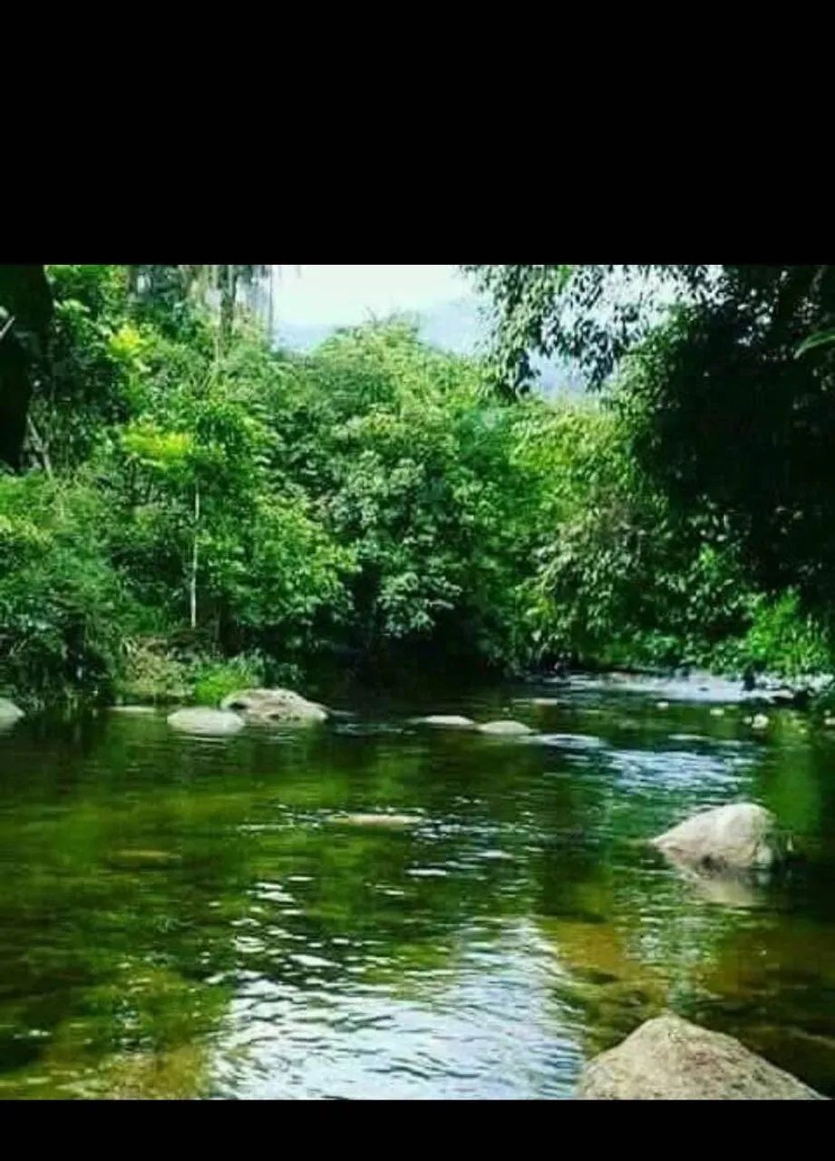 Vendo Sítio delicioso 
