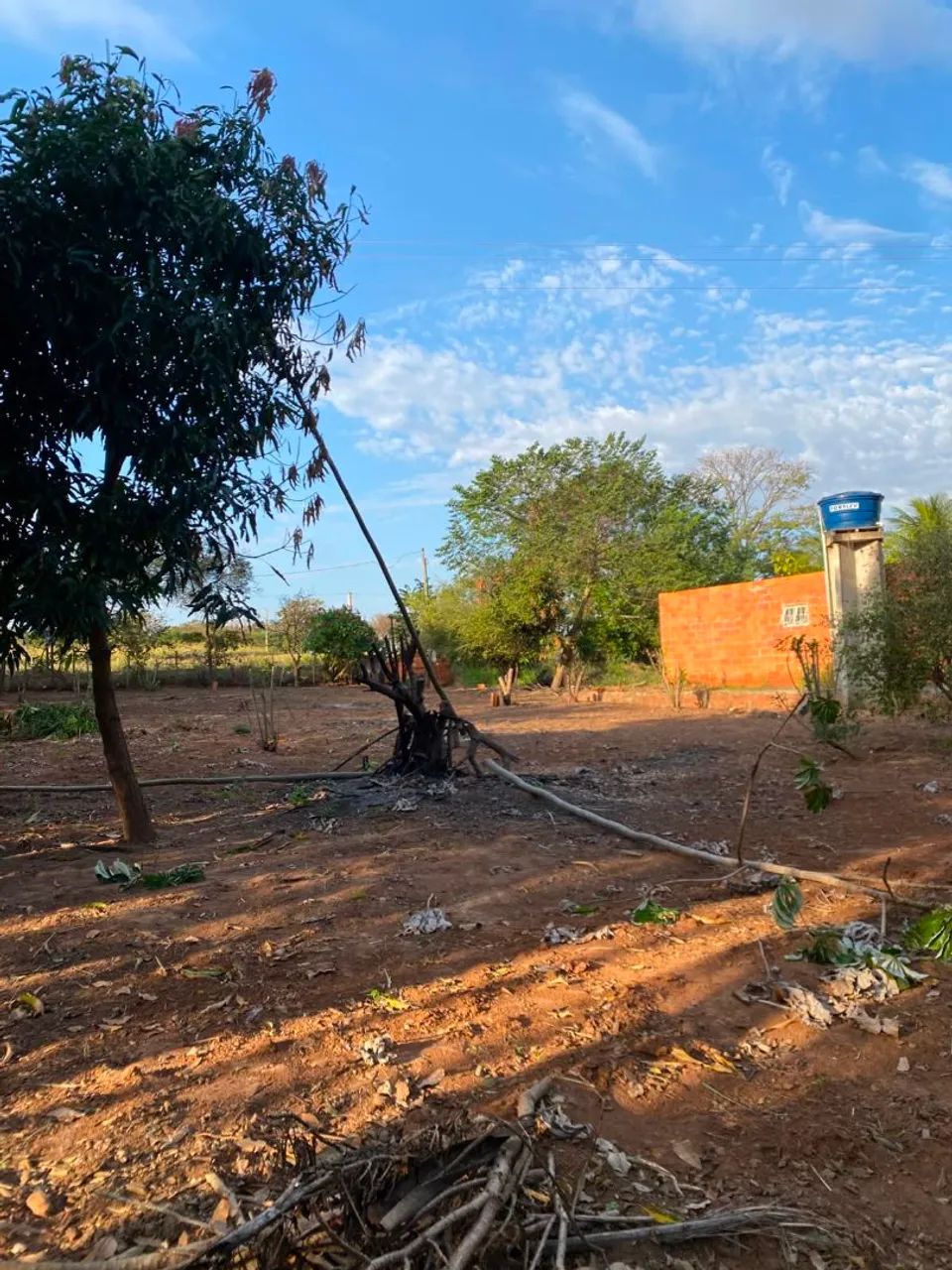 Venda de um rancho em Castilho - Foto 5