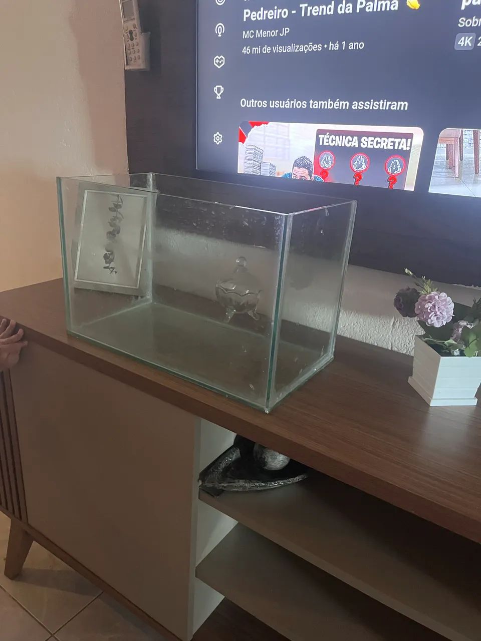 Aquário  - Foto 4