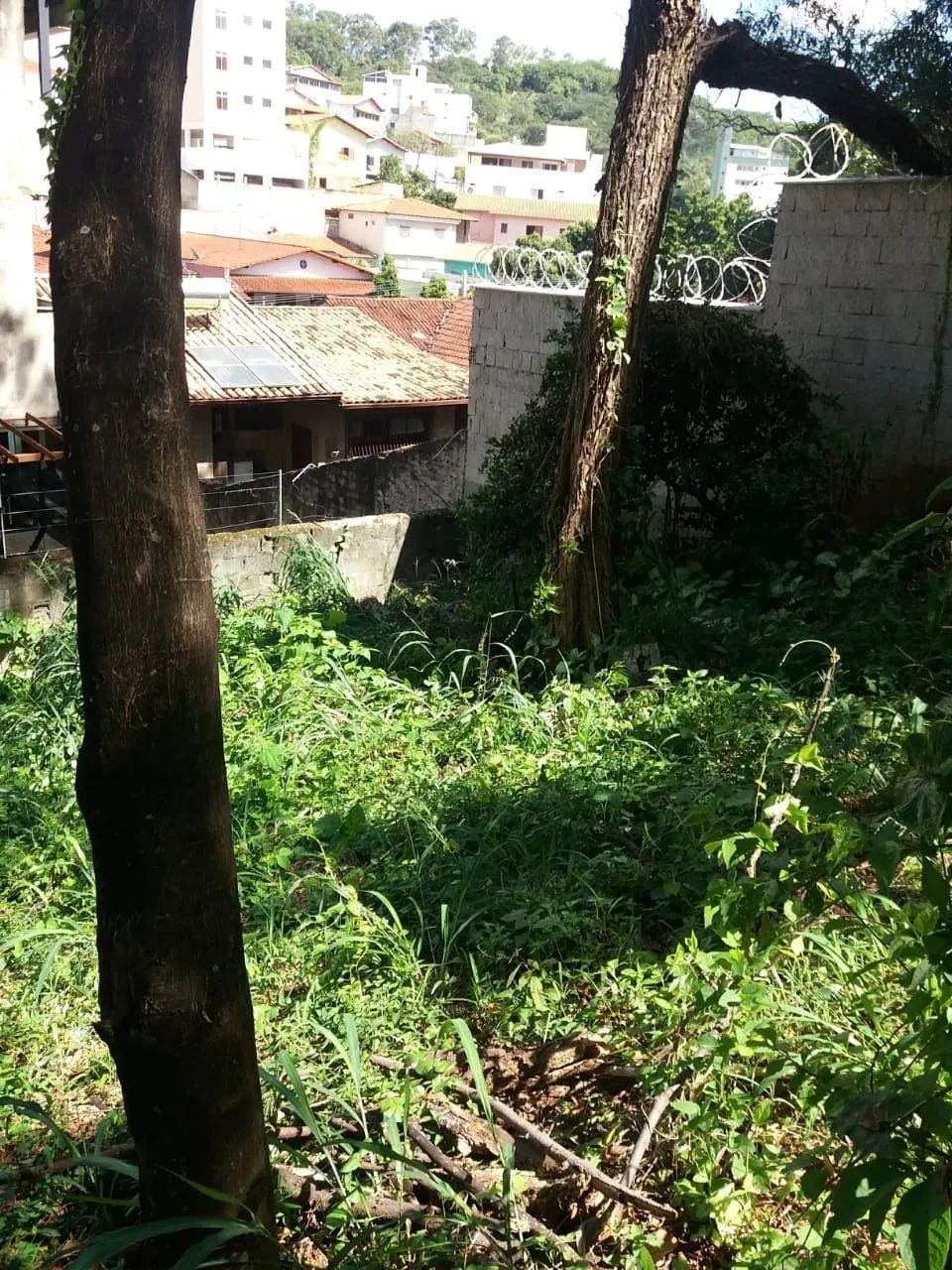 LOTE PARA ALUGUEL NO ÁLVARO CAMARGOS - Foto 3