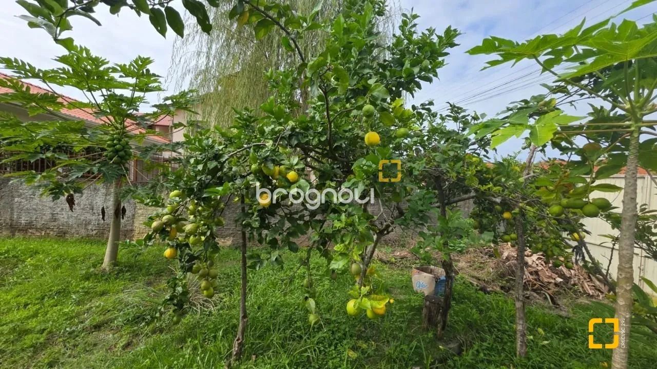 Terreno no Bairro Carianos - Foto 5