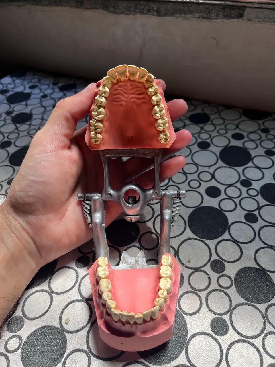 MANEQUIM ODONTOLÓGICO  - Foto 3