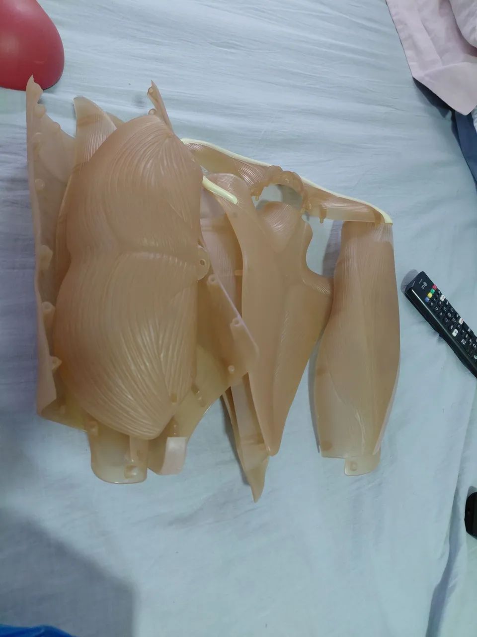 Coleção Corpo Humano completo  - Foto 5