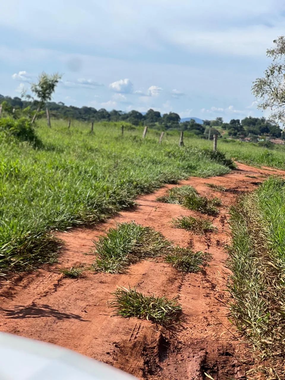  26 alqueires  em jaraguá-go 