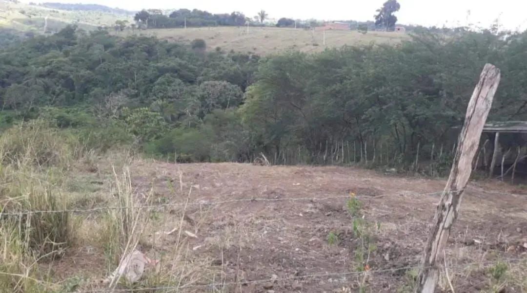Terreno - Foto 2
