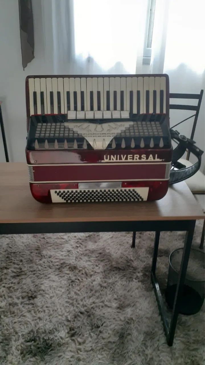 ACORDEON 120 baixos 