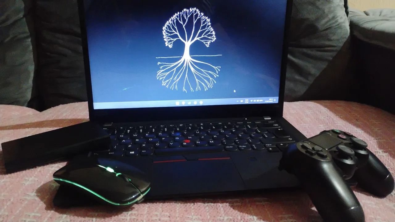 Lenovo ThinkPad t495