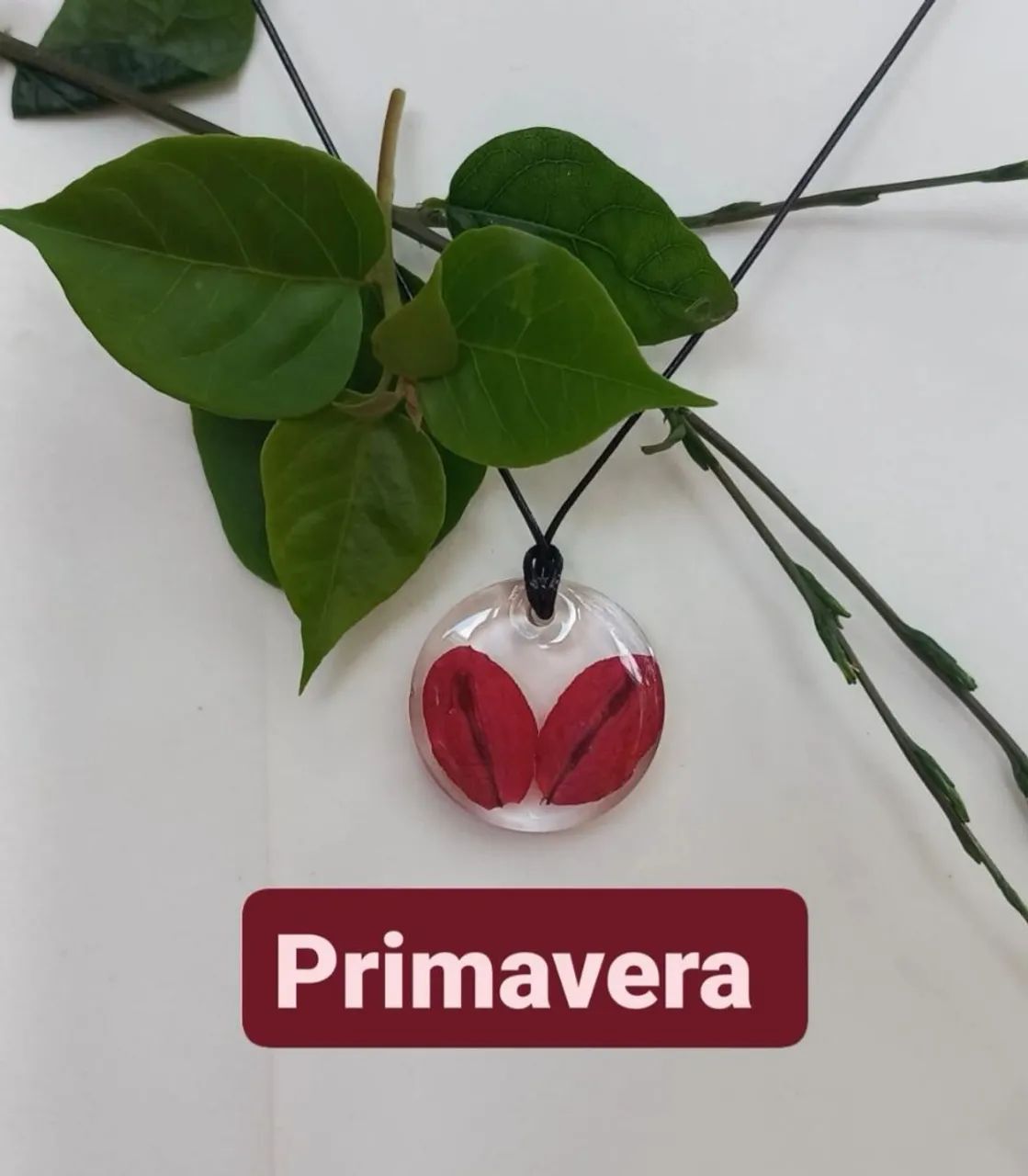 Joias botânicas  - Foto 3