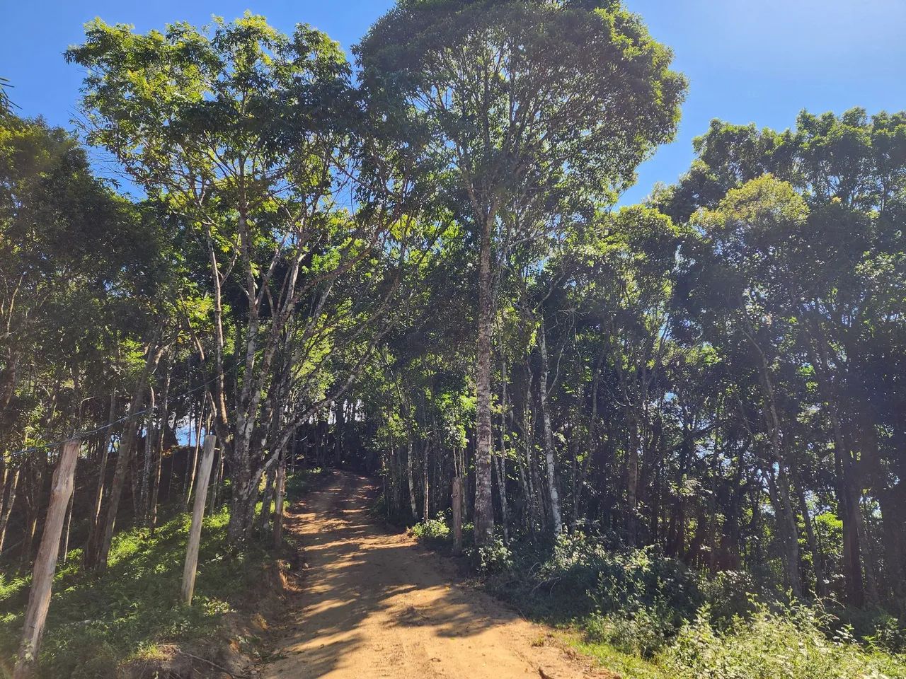 CHÁCARA À VENDA EM CAMBORIÚ - SC - Foto 2