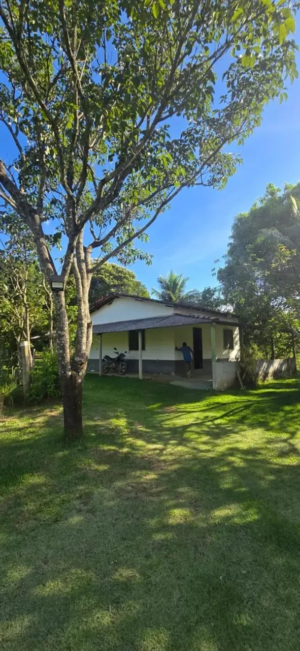 Sitio a venda Conceição de Macabú - Foto 4