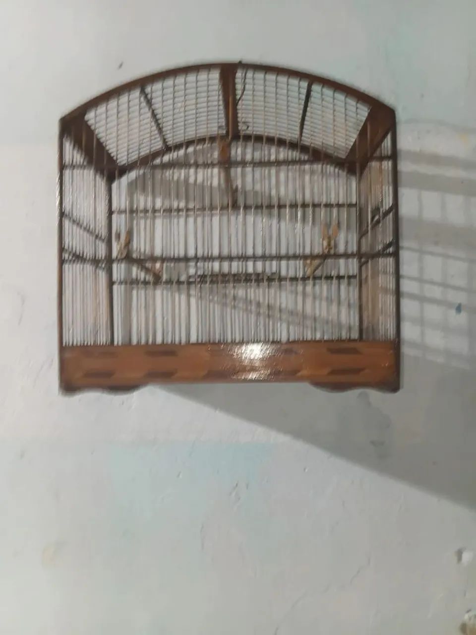 Gaiola - Foto 2