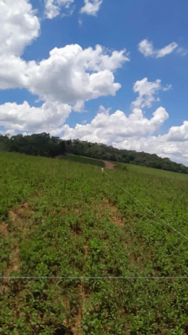 Invista em um Lote de 525m² em Cotia - Foto 2