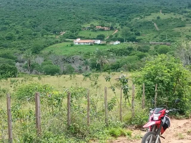 CHÁCARA EM SNATA INÊS - 40 TAREFAS - Foto 2