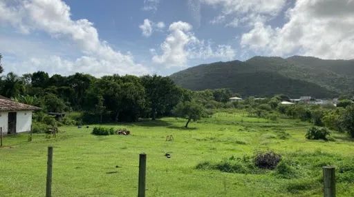 SITIO/ HARAS EM AREA URBANA EM FLORIANOPOLIS - Foto 4