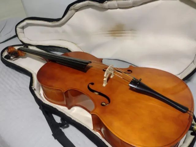 Violoncelo Jahnke 4/4 (Aceito Trocas) - Foto 3