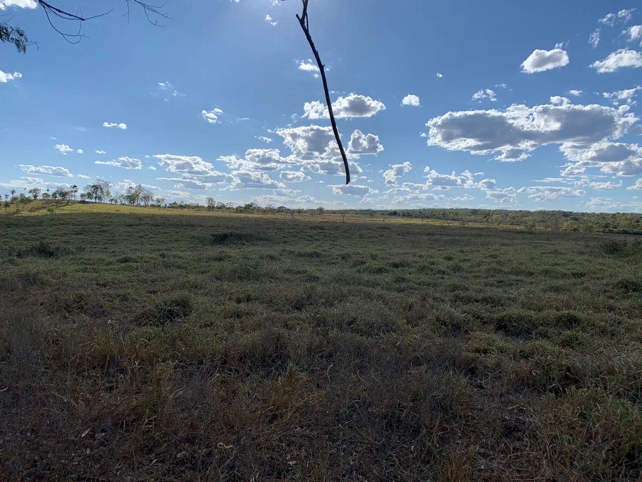 Fazenda em Divinópolis TO