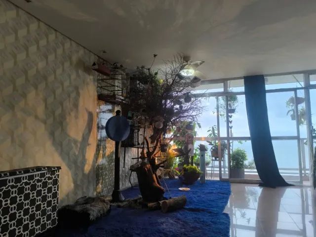 cuidado de passaros residencial e hospedagens em santos - Foto 2