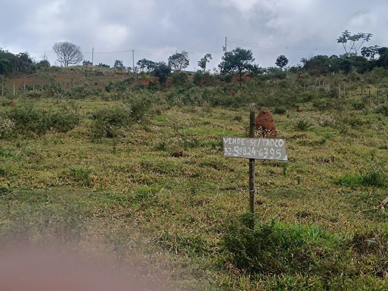 Granja Em Ewbank da Câmara. - Foto 5