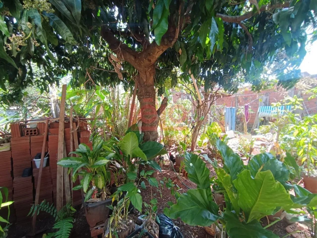 TERRENO AMPLO À VENDA MARINGÁ - Foto 4