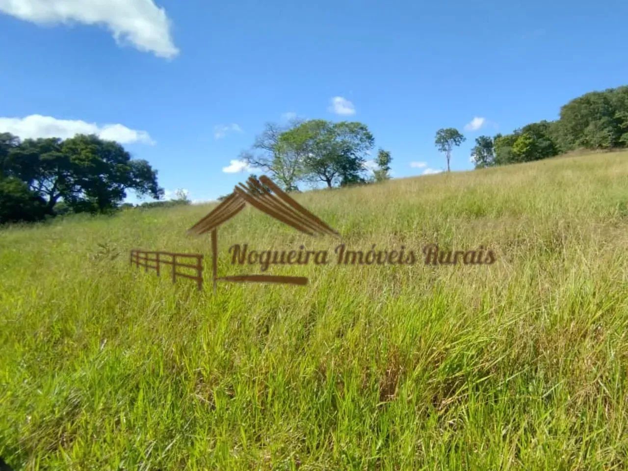 Fazenda com 117 alqueires em Cassilândia-MS - Foto 5