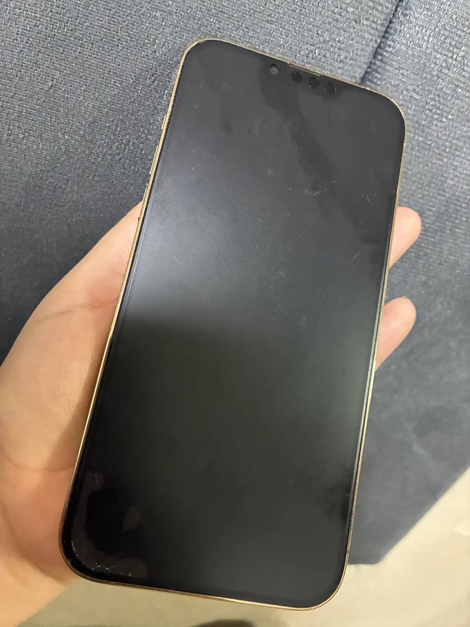 iPhone 13 Pro Max  - Foto 2