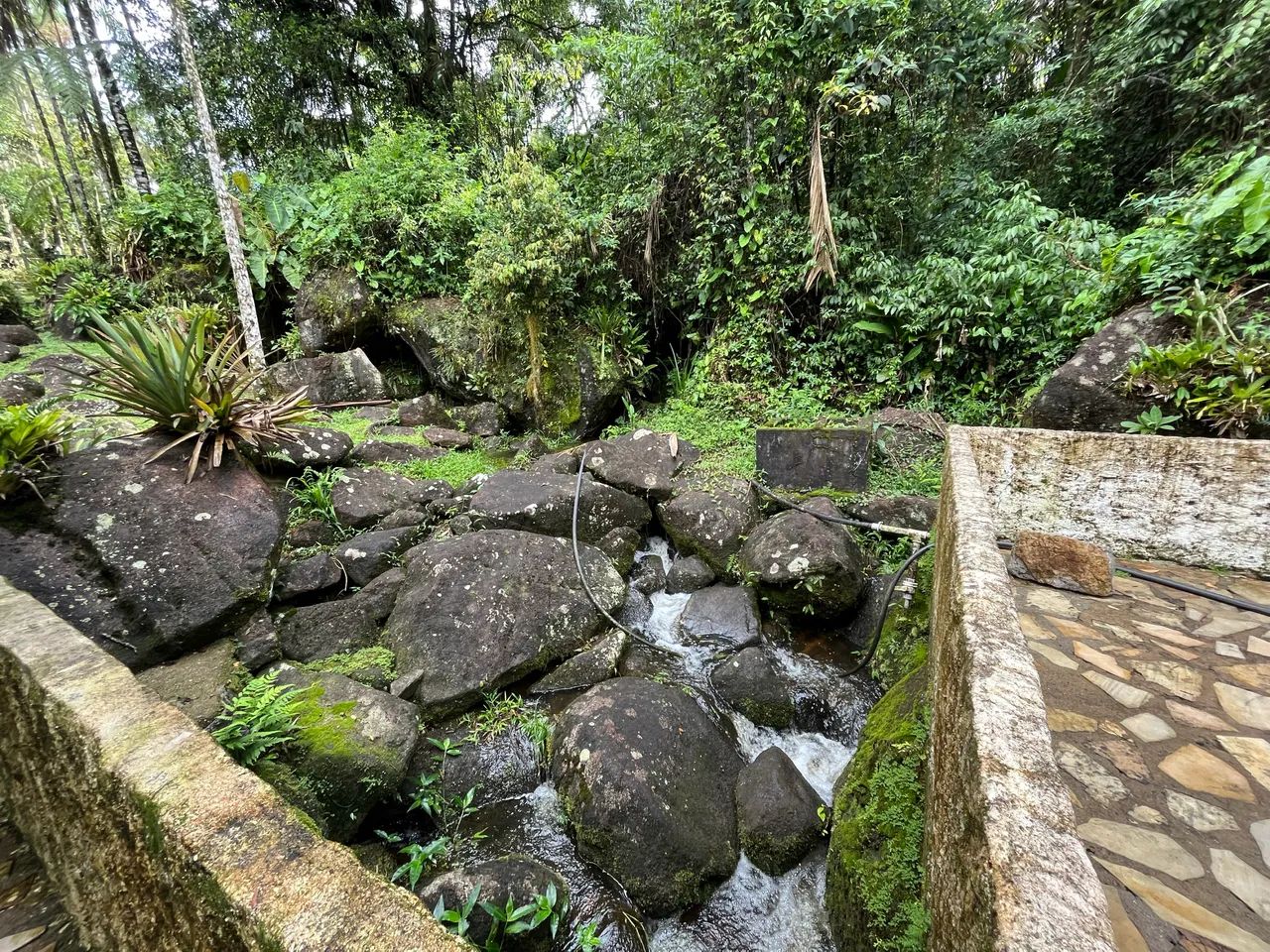 Terreno - Serrinha do Alambary - Foto 5
