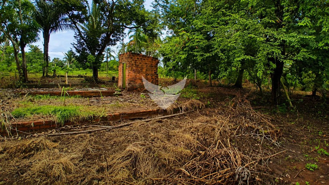 Chácara à Venda  Bairro Ronaldo Aragão - Foto 4