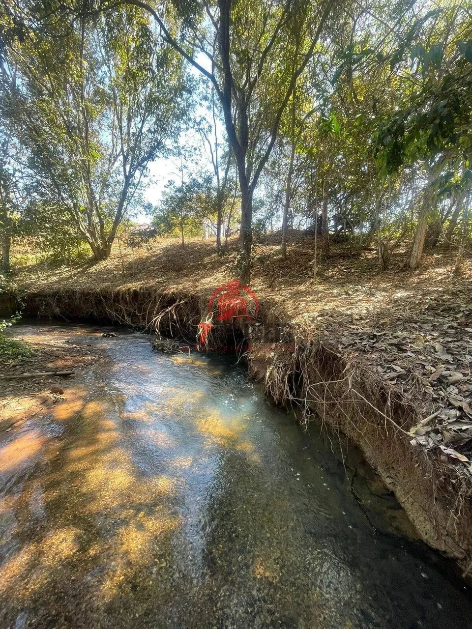CHÁCARA EM CALDAZINHA DE GOIÁS - Foto 3