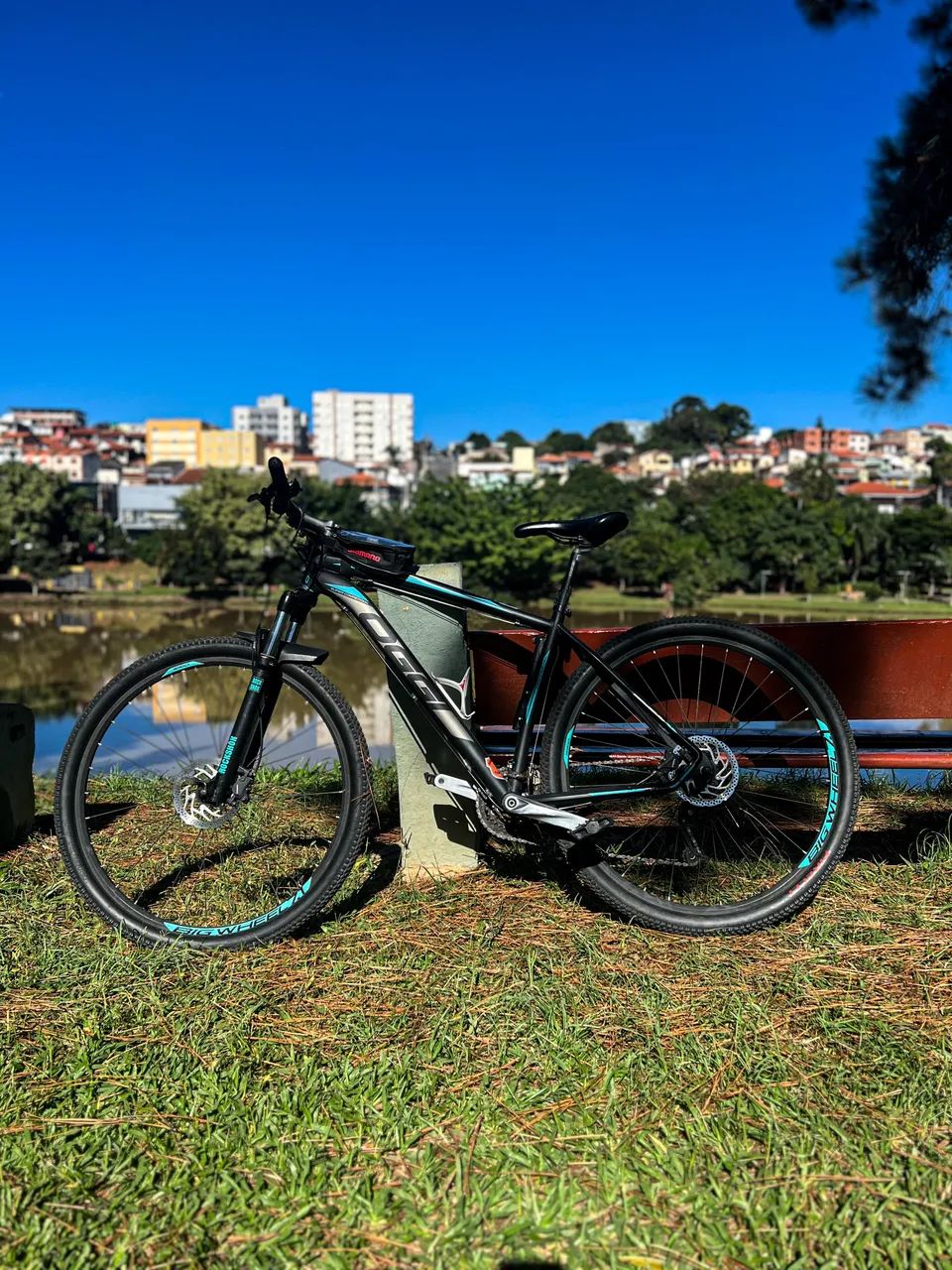Biciclera Oggi Big Wheel aro 29 - Foto 3