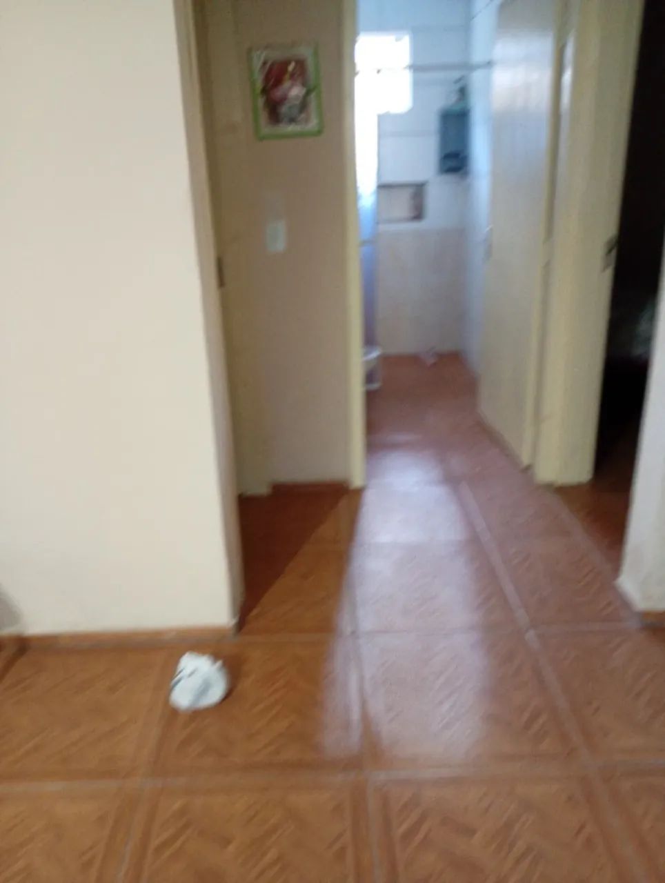 Chácara 1000m2 - Foto 5