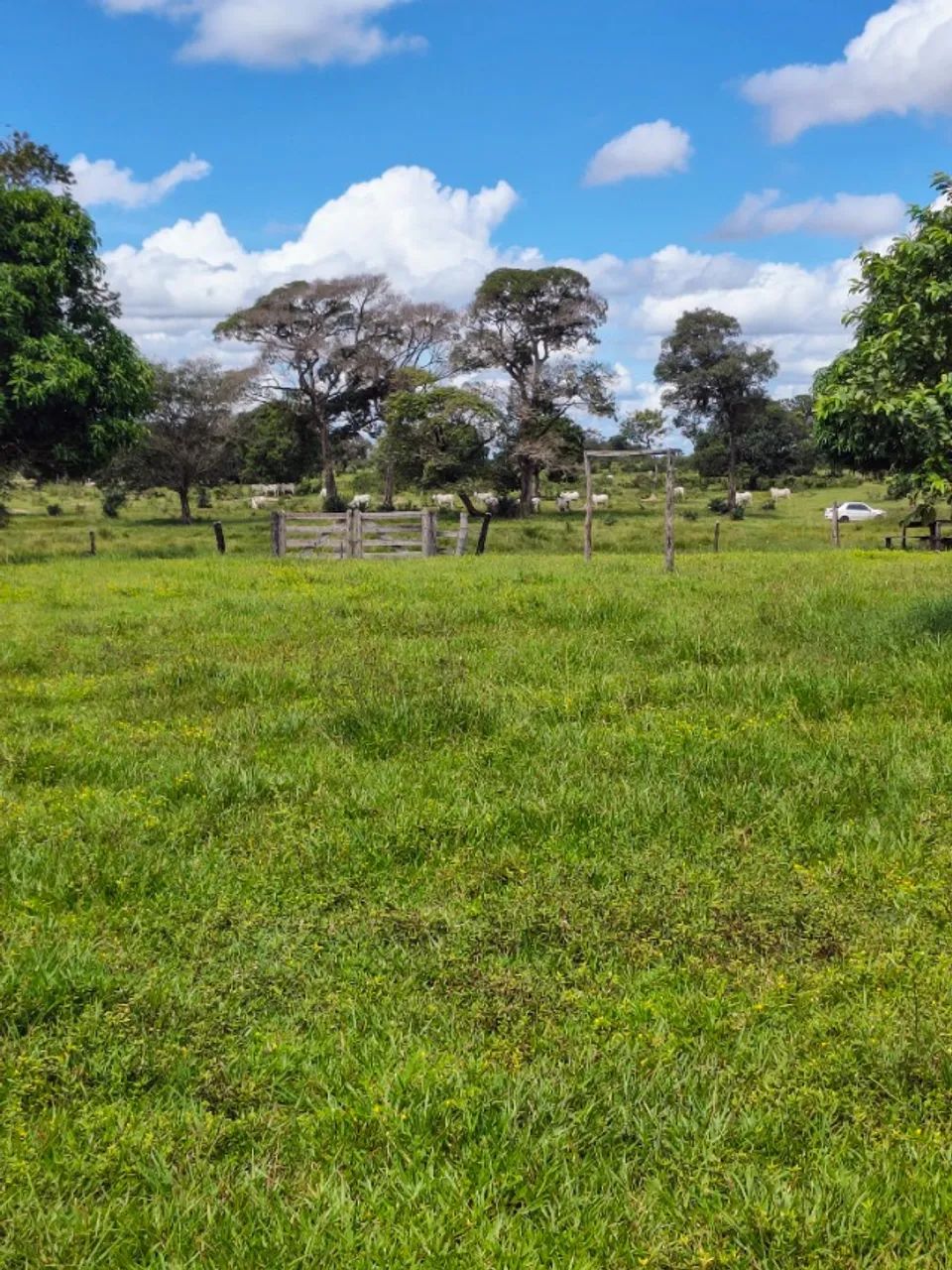 Sítio na região do Fedegoso 27 hectares - Foto 2