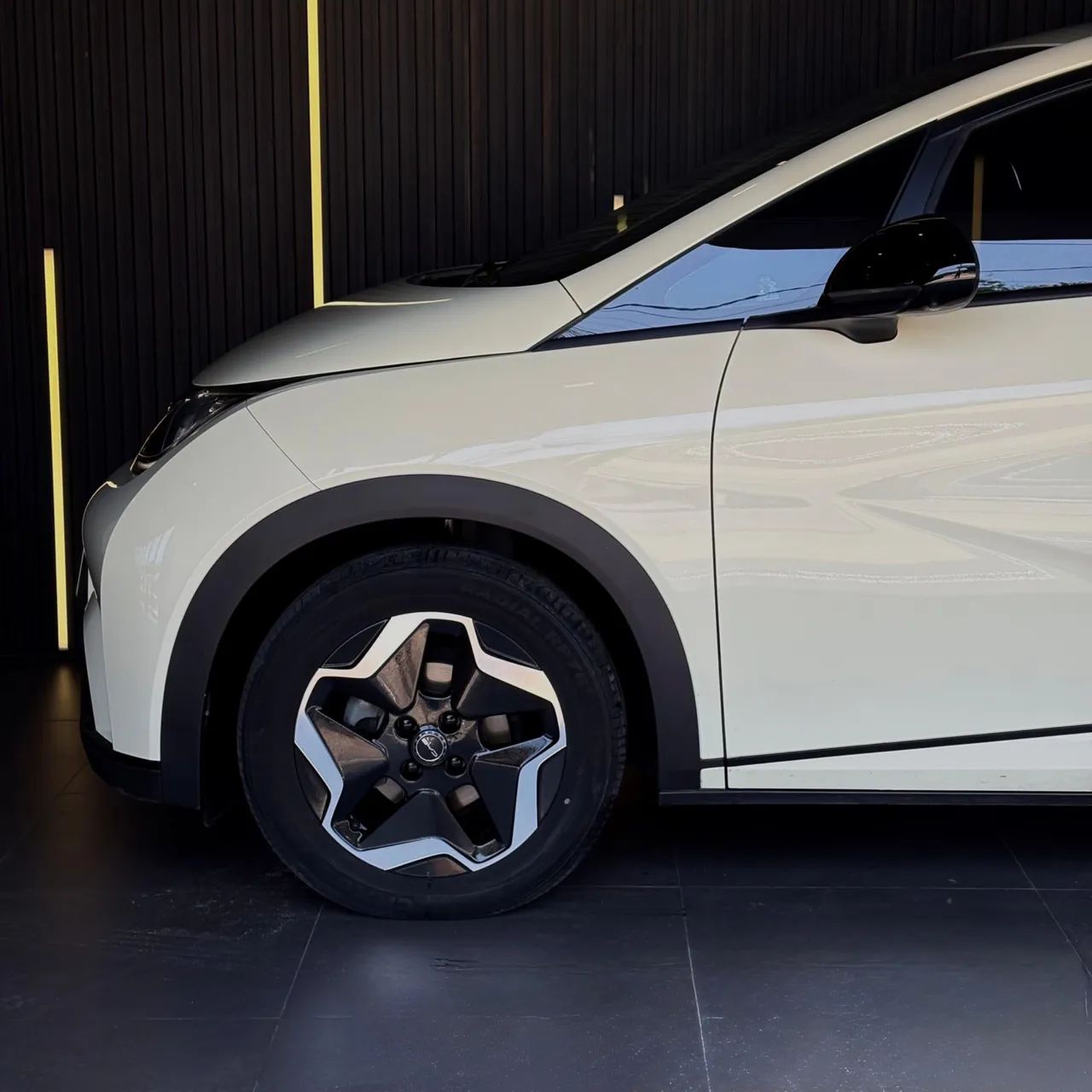 BYD Dolphin GS (Elétrico) 2024 - Foto 3