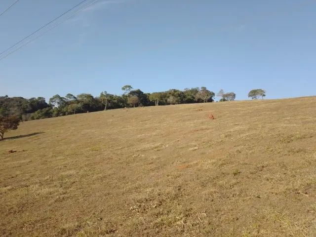 Chácaras as venda - Foto 2