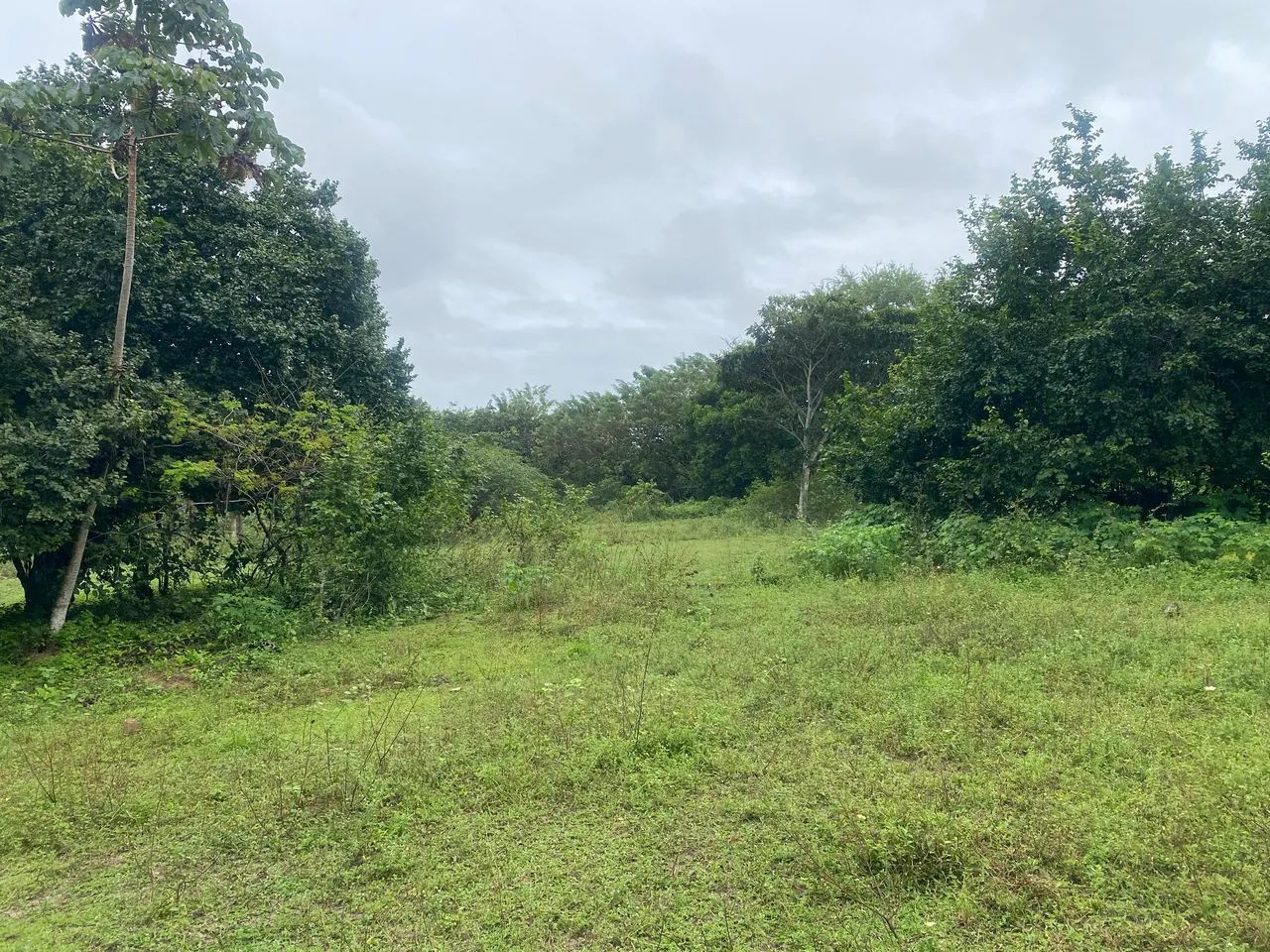 Terreno em Parnamirim  - Foto 4