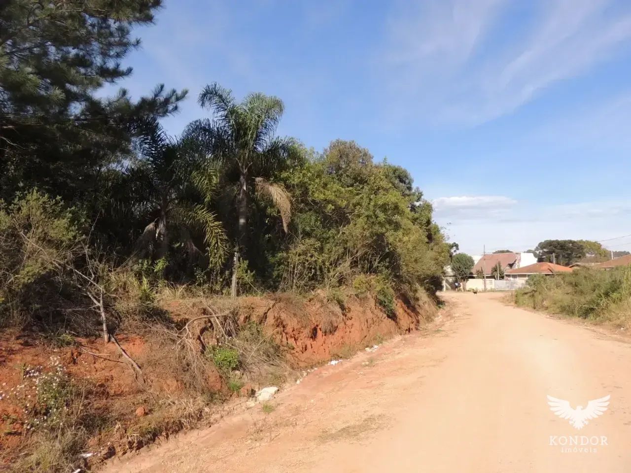 Terreno em CAMPO MAGRO com 9.822,70m² - Foto 3