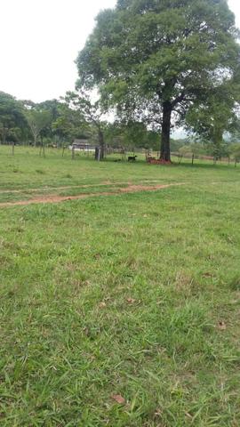 Fazenda 3288 ha terra Rosario Oeste MT braquearia 2020 cab boi R$ 6 mil reais p ha - Foto 6