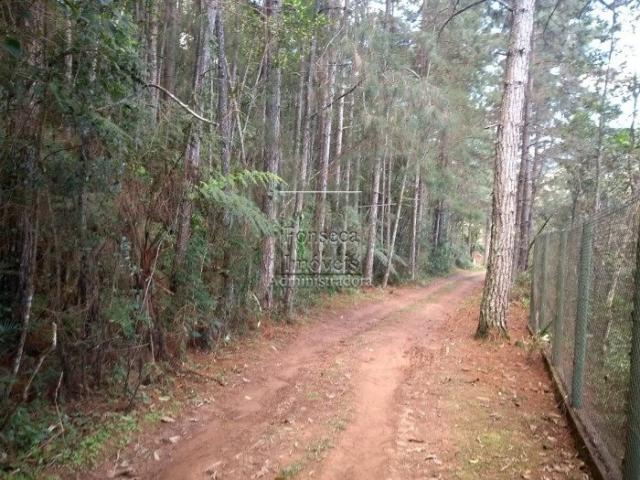 Terreno à venda em Fazenda inglesa, Petrópolis cod:3542 - Foto 3
