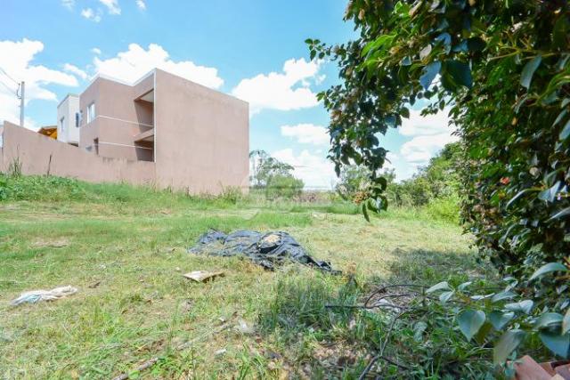 Terreno à venda em Aristocrata, São josé dos pinhais cod:146143 - Foto 4