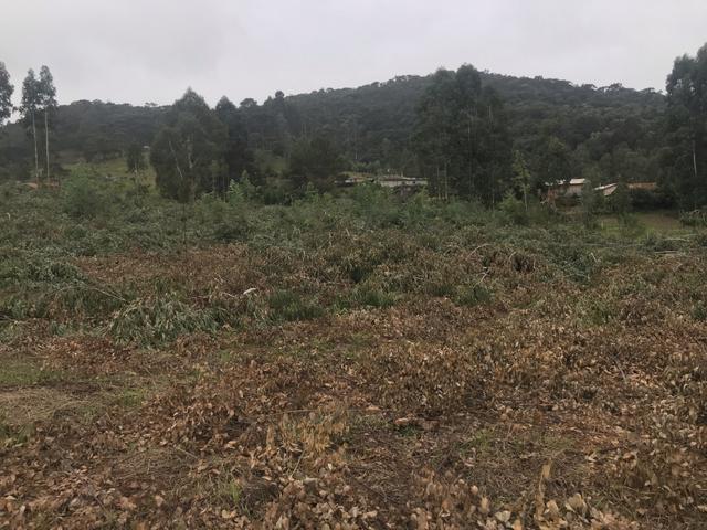 Lote em Urubici - Foto 5