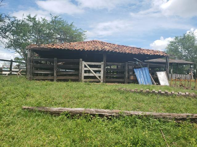 Fazenda 1.240 hectares á venda em jangada - Foto 9
