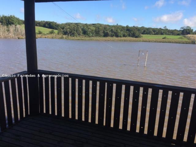 Fazenda para venda em encruzilhada do sul, interior - Foto 2