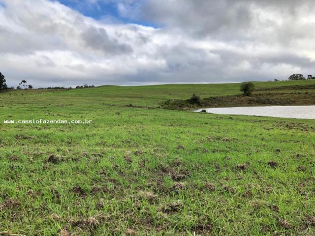 Fazenda para venda em encantado, interior - Foto 8